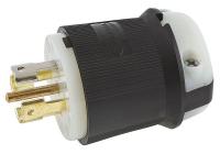 5C789 Plug, Locking, 30 A, L22-30