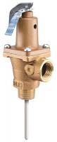 5DLY7 T &amp; P Relief Valve, 3/4 In. Outlet