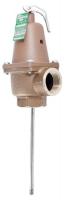 5DLZ0 T &amp; P Relief Valve, 1 In. Inlet