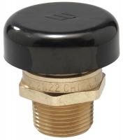 5DLZ3 Vacuum Relief Valve, 1/2 In, Up to 200 psi