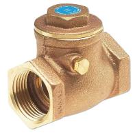 5EMX2 Check Valve, 1/2 In, Threaded, Bronze