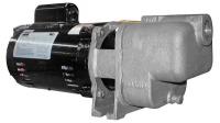 5GUP0 Centrifugal Pump, 1/3 HP, ODP, 1 Ph