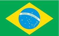 5JFV1 Brazil Flag, 4x6 Ft, Nylon