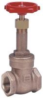 5JLY7 Gate Valve, Class 150, 1/4 In.