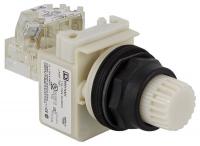 5KCJ3 PushButton, 30mm, 120V, LED, No Guard, White