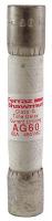 5LCP0 Fuse, G, AG, 45A, 480VAC, Fiberglass