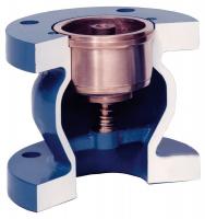 5LYH6 Check Valve, 2-1/2 In, Flanged, Cast Iron