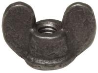 5MMY8 Wing Nut, Steel, 1/4-20 x 1-1/16 In, Pk 10
