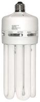 5MPW8 Screw-In CFL, 60W, 5U, Medium
