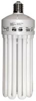 5MPX5 Screw-In CFL, 200W, 8U, Mogul
