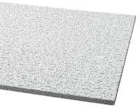 5NGJ2 Ceiling Tile, 24 x 48 In, 5/8 In T, Pk 12