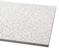 5NGJ4 Ceiling Tile, 24 x 24 In, 5/8 In T, Pk 16