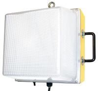 5NKT3 Portable Work Light , LED, 34W, Yellow