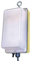 5NKU4 Portable Work Light , LED, 14.5W, Yellow