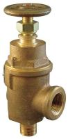 5NKW7 Adjustable Relief Valve, 2-1/2 In, 50 psi