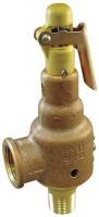 5NLC7 Safety Relief Valve, 1 x 1-1/4 In, 200 psi