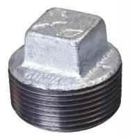 5PAT1 Square Head Plug, 1/2 In, NPT, Iron