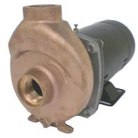 5PXD4 Bronze Pump, 1 HP, 3450, 115/230
