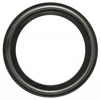 5PYA6 Gasket, Size 4 In, Tri-Clamp, FKM