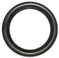 5PYH2 Gasket, Size 2 1/2 In, Tri-Clamp, FKM Metal
