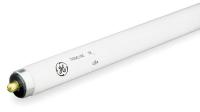 5TB67 Fluorescent Linear Lamp, T8, Cool, 4100K