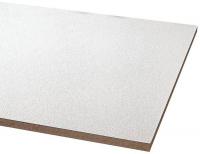 5UTN4 Ceiling Tile, 24 x48 In, 5/8 In T, Pk 8