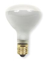 5V158 Incandescent Floodlight, R40, 500W