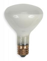 5V157 Incandescent Floodlight, R40, 500W