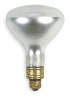 5V210 Incandescent Reflector Lamp, R40, 375W