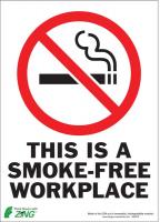 5VUU5 No Smoking Sign, 14 x 10In, R and BK/WHT