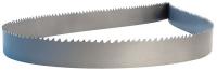 5WDH8 Band Saw Blade, 12 ft. L , 1-1/4 In. W