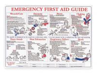 5WG16 First Aid Training Poster, 18 x 24In, ENG