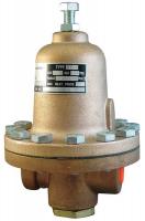 5WNJ0 Pressure Regulator, 1/2 In, 40 to 500 psi