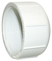 5WPX3 Cap, 2 In, FNPT, PVC