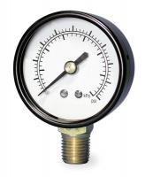 5WZ29 Pressure Gauge, 2 In, 0 to 600 Psi