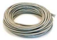 5XFJ0 Patch Cord, Cat6, 50Ft, Gray