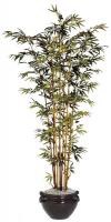 5YGC8 Bamboo Tree, Silk, 6 ft. w/insert