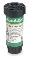 3W971 Spray Head for Shrubs, 4-1/2 In. H