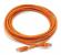 5VZR1 - Patch Cord, Cat6, 14Ft, ORange Подробнее...