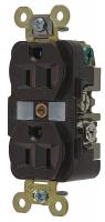 6A666 Receptacle, Duplex, 15A, 125V, BR, Industrial