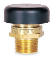 6A772 Vacuum Relief Valve, 1/2 In, Up to 200 psi