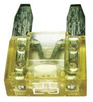 6AYL2 Fuse, Auto, Auto, BP, ATM, 25A, 32VDC, PK2