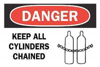 6BT54 Danger Sign, 10 x 14In, R and BK/WHT, ENG