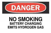 6BZ41 Danger No Smoking Sign, 7 x 10In, ENG, Text