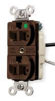 6C656 Receptacle, TR Duplex, 15A, BR, Hospital