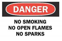 6CK99 Danger No Smoking Sign, 7 x 10In, ENG, Text