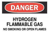 6CP49 Danger No Smoking Sign, 10 x 14In, ENG