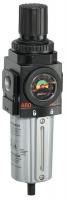 6CRN6 Filter/Regulator, 1/2 NPT, 173 CFM, 250 PSI