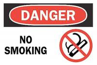 6CW67 Danger No Smoking Sign, 10 x 14In, ENG