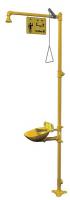 6DGW4 Drench Shower With Eyewash, Plastic